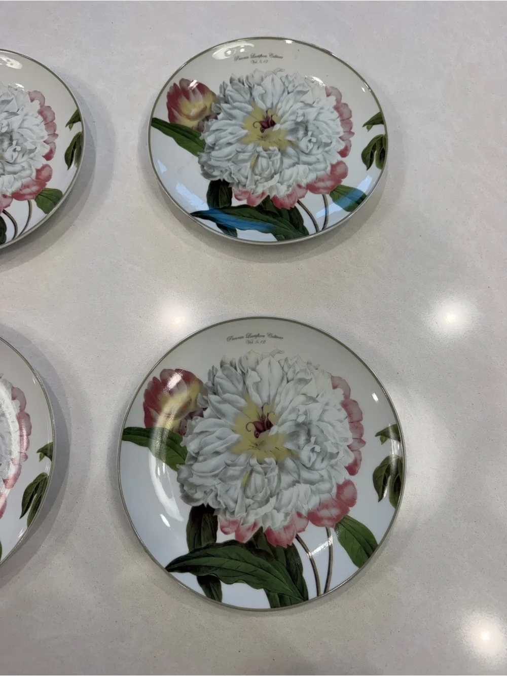 Williams Sonoma botanical peony set of four salad plates 2011